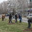 В Волгограде во время субботника высадили каштановую аллею - ИА Высота 102.0