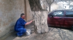 Субботник