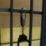 Волгоградцы помогли задержать преступника, отрезавшего отцу голову - Московский комсомолец