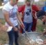 Волгоградцев на гастрономическом фестивале кормят лепешками Юлия Цезаря - Газета Волгоградская правда
