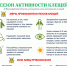 Готовимся к приходу клещей - ГУЗ Поликлиника №2