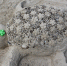 Увеличить - Природные парки Волгоградской области