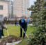 Волгоградская правда - Газета Волгоградская правда