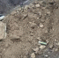 В Волгограде выявили свалку грунта, загрязненного стройматериалами - Газета Городские вести