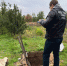 В Волгограде мужчина забил собутыльника до смерти гвоздодером - Volgograd.Sm.News