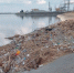 Тонны мусора вынесло на бетонный берег Волгоградского водохранилища: видео - ИА Высота 102.0