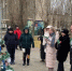 В Волжском прошел парад странных елок - ИА Высота 102.0