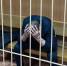 Волгоградская правда - Газета Волгоградская правда