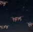 Над Волгоградской областью уничтожен вражеский беспилотник. - Riac34.Ru