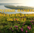 ИБЦ ВолгГТУ представляет новую виртуальную выставку - ВолгГТУ