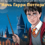 В Волгограде проведут международный фестиваль «Ночь Гарри Поттера» - Riac34.Ru