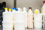 Волгоградский предприниматель произвел партию сомнительных молочных продуктов