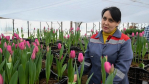 Сотрудницы волгоградского ботсада делают мир краше