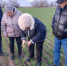ЭКСПЕРТЫ ОЦЕНИЛИ СОСТОЯНИЕ ПОСЕВОВ В ЗАВОЛЖЬЕ - Агропромышленный центр