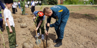 Волгоградская правда - Газета Волгоградская правда