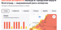 В Волгоградской области аллергикам в ближайшие несколько дней придется непросто - Riac34.Ru