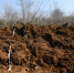 Волгоградская правда - Газета Волгоградская правда