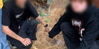 В Волгограде двое студентов задержаны за наркоторговлю, им грозит до 20 лет - Газета Городские вести