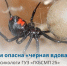 Нажмите для предварительного просмотра изображения - Комитет по здравоохранению