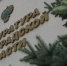Нефтяные отходы отравили землю в Волгоградской области - ИА Волга-Каспий