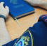Под Волгоградом нашли мертвыми бабушку и ее 7-летнего внука - Volganet.Net