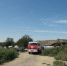 Приют для животных восстанавливают после пожара в Волгограде - Волга-Медиа