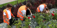 Волгоградские школьники помогают в благоустройстве города - Газета Городские вести