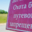 Для волгоградских охотников установлены квоты и лимит на добычу - Волга-Медиа