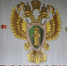 В Волгограде главу УК оштрафовали за захламление контейнерной площадки - Волга-Медиа