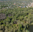 70 гектаров сельхозугодий заросли сорняком под Волгоградом - Газета Городские вести