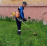 Более 500 квадратных метров дикорастущей конопли уничтожили волгоградские полицейские - Volganet.Net