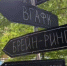 Все дороги ведут во ВГАФК! - ВГАФК