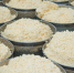 Волгоградцам назвали 5 молочных продуктов, полезных для кишечника - Волга-Медиа