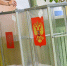 Урна для голосования - НовостиВолгограда.ру