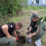 Росприроднадзор выявил загрязнение почвы сточными водами на юге Волгограда - Riac34.Ru