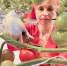 В Волгограде взвинтили цены на помидоры и бананы - Газета Городские вести