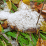 Волгоградская область столкнулась с двумя погодными угрозами - Riac34.Ru