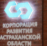 Корпорация развития Астраханской области помогает развивать 37 инвестпроектов - ИА Волга-Каспий