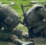 Военные - НовостиВолгограда.ру