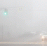 Волгоград окутал густой туман, создав сложные условия для водителей - Родной город Волгоград