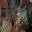 JPG Файл - УМВД по Волгограду 