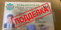 В Волгоградской области задержали молодого водителя с поддельными документами - Волга-Медиа