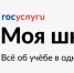 В Волгоградской области набирает популярность приложение «Госуслуги Моя школа» - Родной город Волгоград