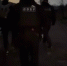 Под Волгоградом полицейские провели рейды по адресам возможных преступников - Родной город Волгоград