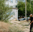 Волгоградцам объяснили, можно ли запретить УК вырубать зелень во дворе - Газета Вечерний Волгоград