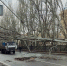 Поваленное ветром дерево перекрыло движение автотранспорта в центре Волгограда - Riac34.Ru