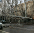 Улица проспект Ленина в Волгограде оказалась заблокирована из-за упавшего дерева - ВестиВЛГ