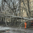 Отключение света и воды, падение деревьев: последствия шторма в Волгоградской области - Газета Городские вести