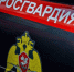 Волгоградские росгвардейцы за минувшую неделю более 400 раз выезжали по сигналу «тревога» - Riac34.Ru