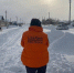 «ЛизаАлерт» в Волгоградской области набирает кинологов - Газета Городские вести